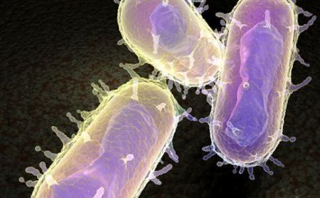 Από πού έφτασε η πανούκλα για πρώτη φορά στην Ευρώπη