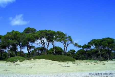 Ξεκίνησε η κατεδάφιση της πρώτης παράνομης ταβέρνας στον Σχινιά