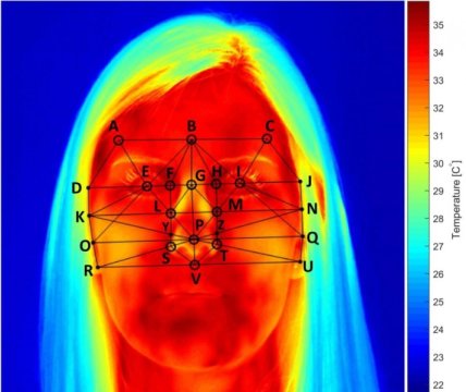Η θερμοκρασία της μύτης μας δείχνει πόσο «φορτωμένος» είναι ο εγκέφαλός μας