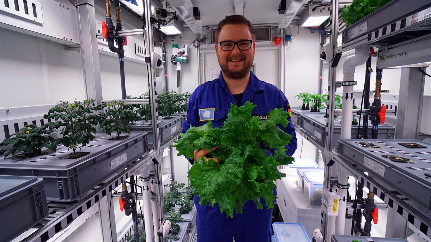 Ερευνητές κατάφεραν να καλλιεργήσουν λαχανικά χωρίς ηλιακό φως στην Ανταρκτική