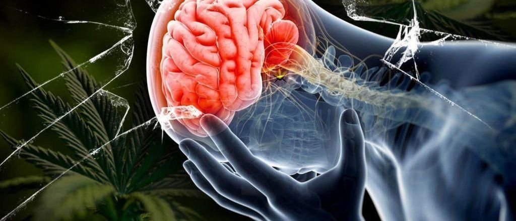 Η διάσειση φέρνει αύξηση στην εκδήλωση Πάρκινσον