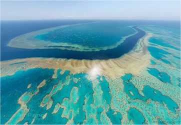 Δεν επουλώνονται τα «τραύματα» από την κλιματική αλλαγή στον Μεγάλο Κοραλλιογενή Υφαλο