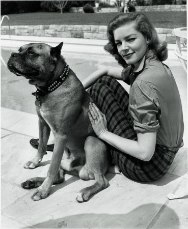 Ανθρωπος φωτογραφίζει σκύλο