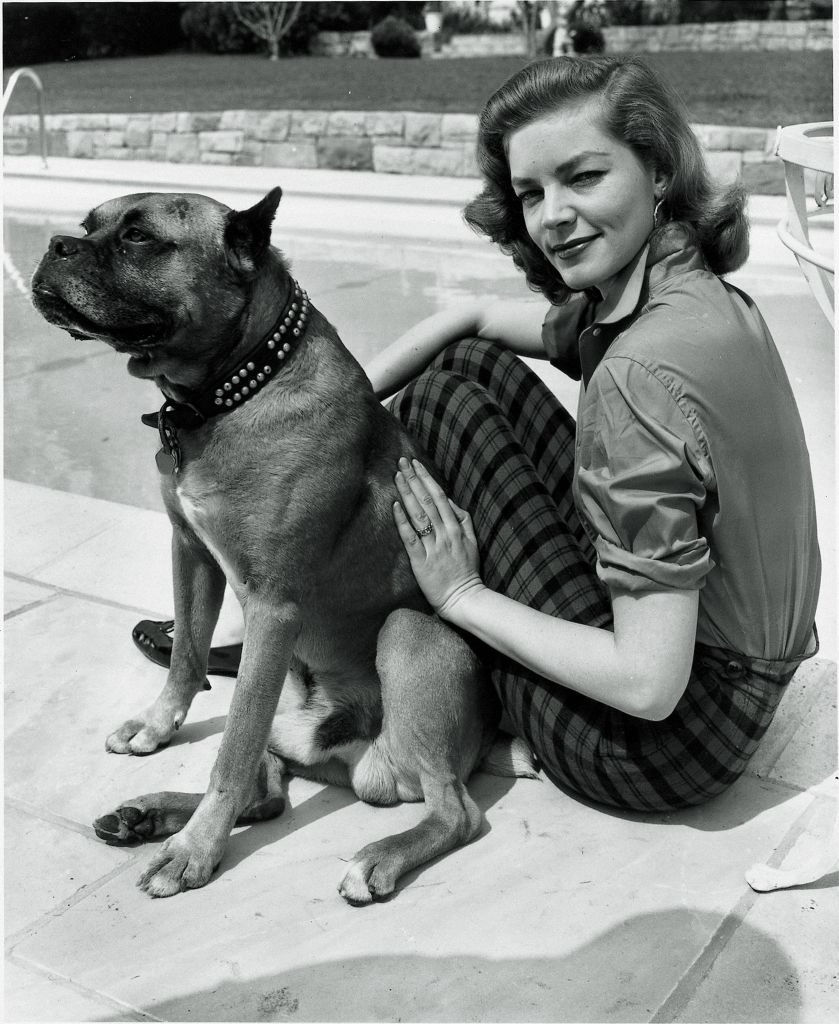 Ανθρωπος φωτογραφίζει σκύλο