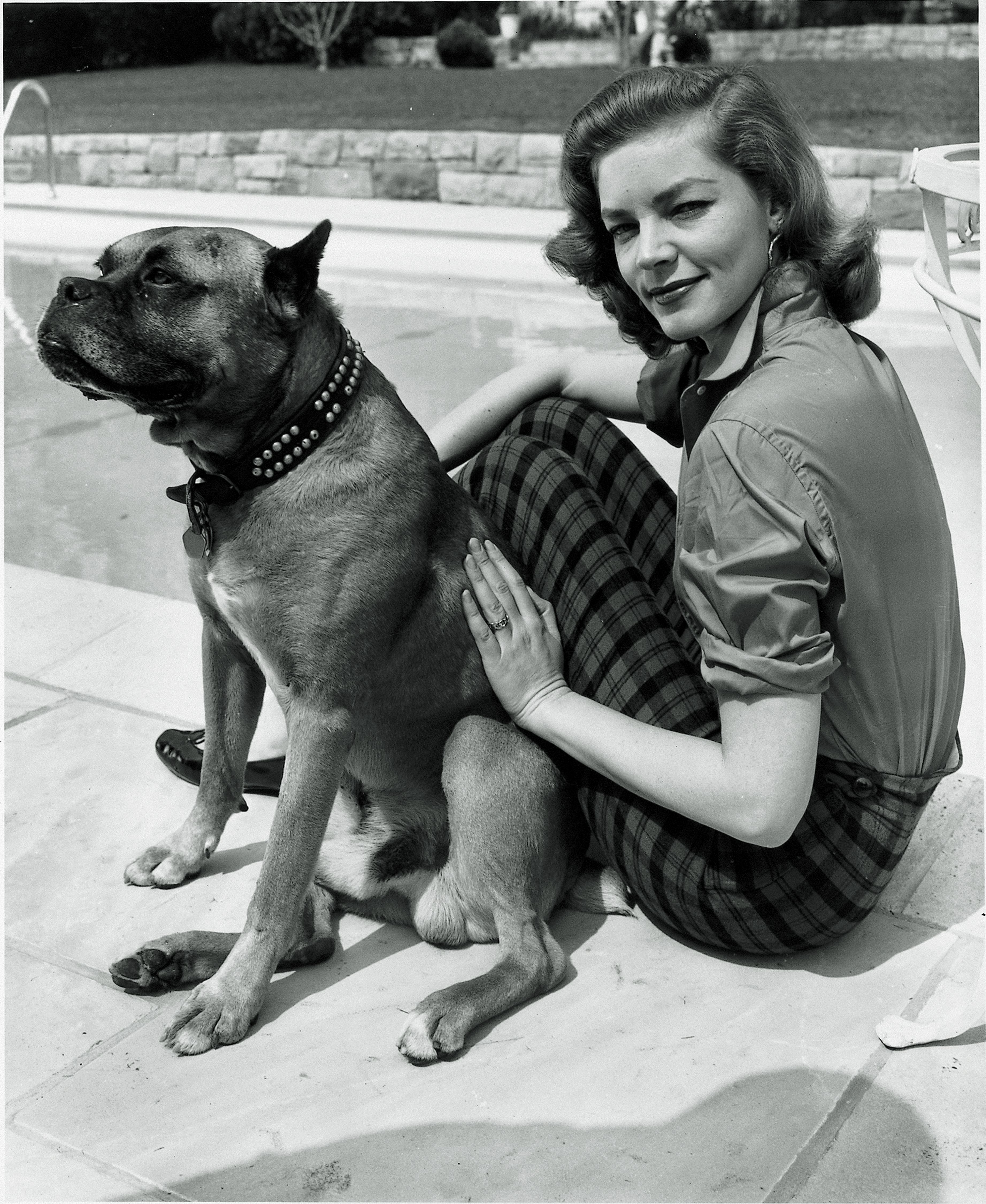 Ανθρωπος φωτογραφίζει σκύλο