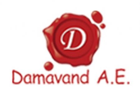 Ο  Δημήτρης Τακάς στο νέο ΔΣ της Damavand