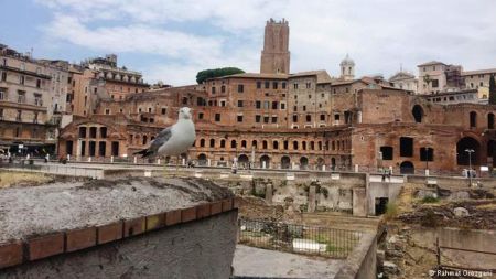 Τα βασικά σημεία του συμβιβασμού 5 Αστέρων-Λέγκας