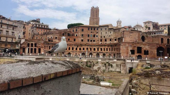 Τα βασικά σημεία του συμβιβασμού 5 Αστέρων-Λέγκας