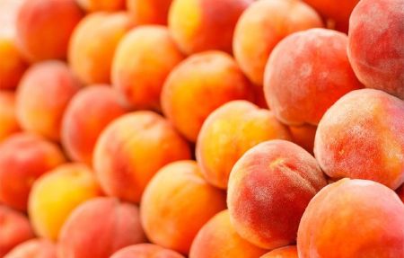 Κατασχέθηκαν 3,9 τόνοι φρούτων σε επιχείρηση του Ρέντη