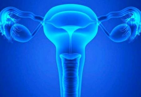 Τεχνητή ωοθήκη δοκιμάστηκε επιτυχώς σε πειραματόζωα