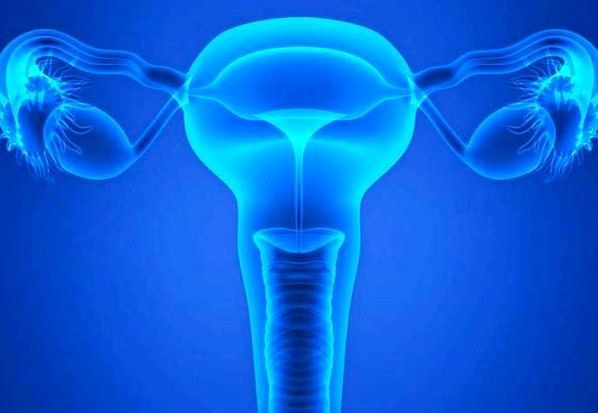 Τεχνητή ωοθήκη δοκιμάστηκε επιτυχώς σε πειραματόζωα