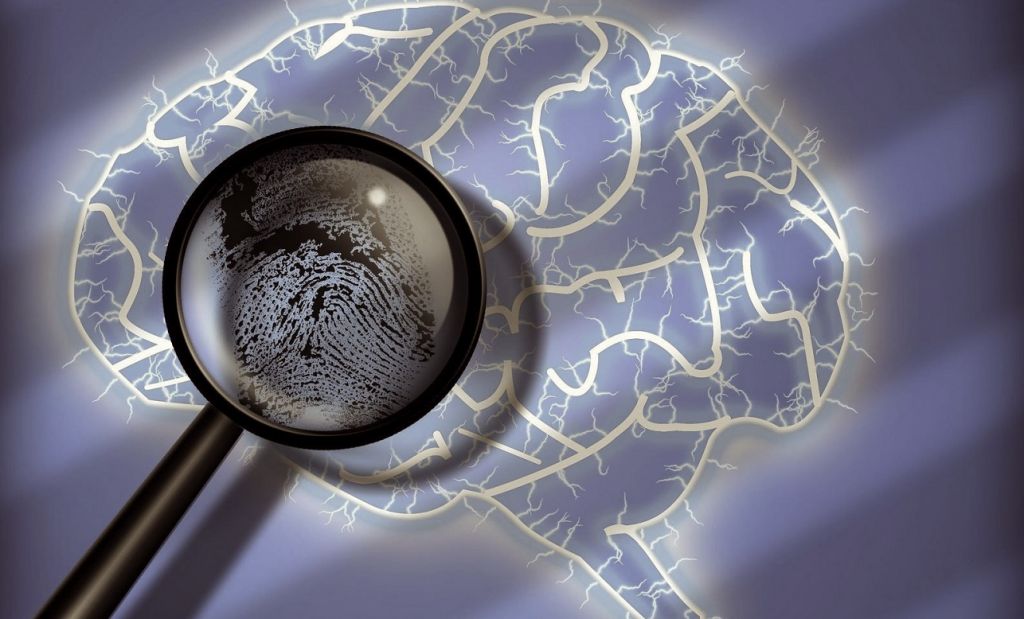 Η ανατομία του εγκεφάλου μας μοναδική όπως τα αποτυπώματά μας