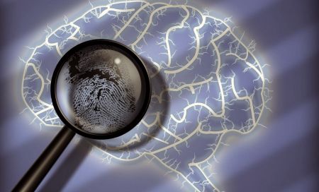 Η ανατομία του εγκεφάλου μας μοναδική όπως τα αποτυπώματά μας