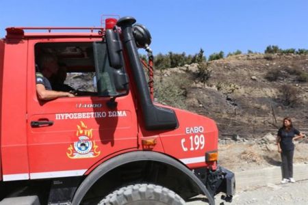 Πυρκαγιά σε δασική έκταση στο Ρέθυμνο