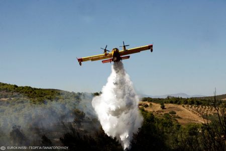 Υπό μερικό έλεγχο η δασική πυρκαγιά στα Διάσελλα Ηλείας