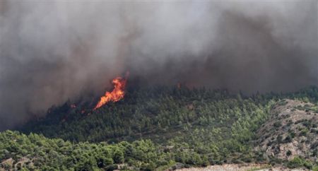 Υπό μερικό έλεγχο η πυρκαγιά σε αγροτοδασική έκταση στη Βραυρώνα