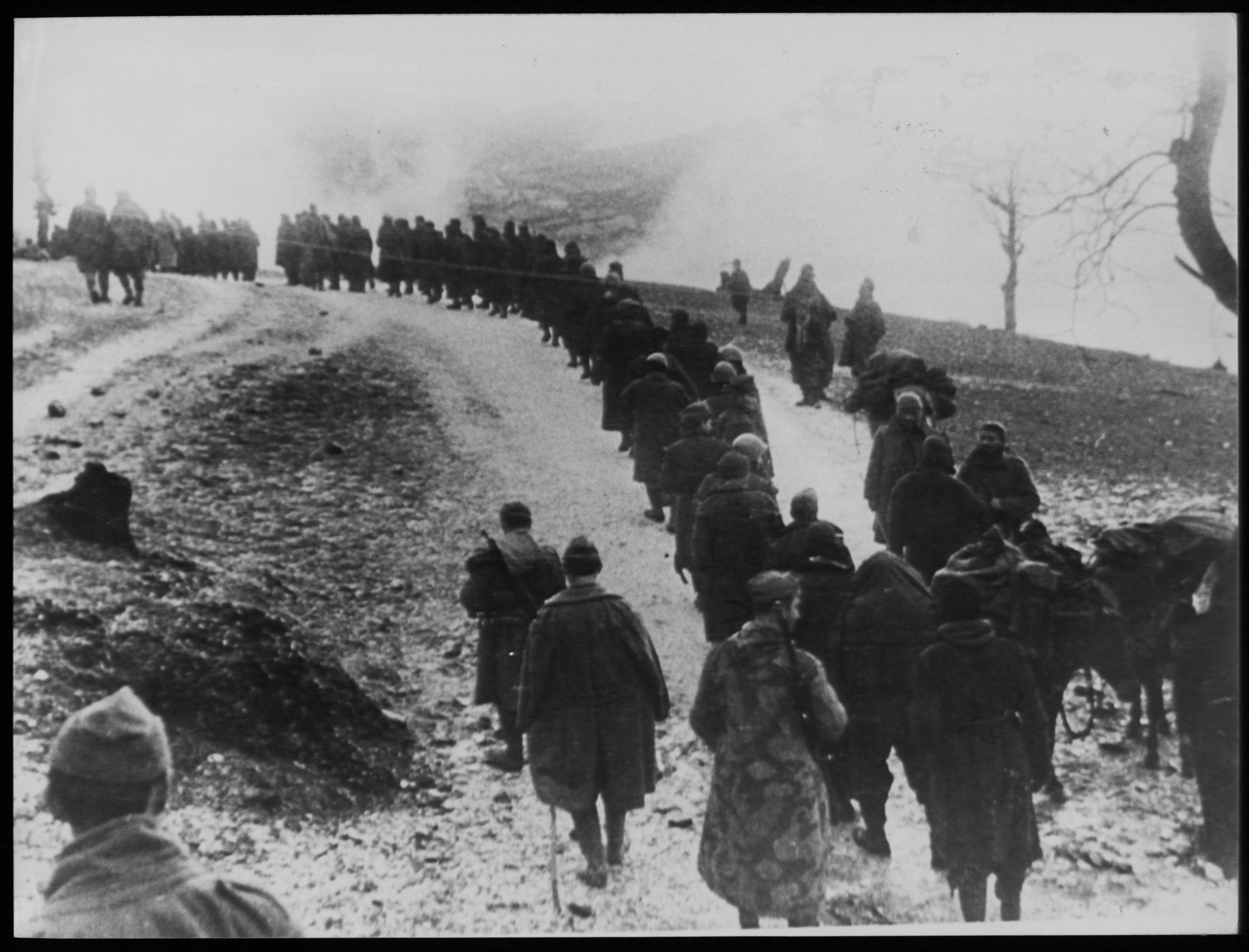 «Η Ιστορία του Ελληνικού Στρατού (1833-1949)»