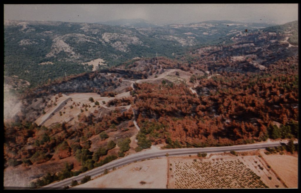 Μόνο για φέτος εκτός ΕΝΦΙΑ τα αγροτεμάχια