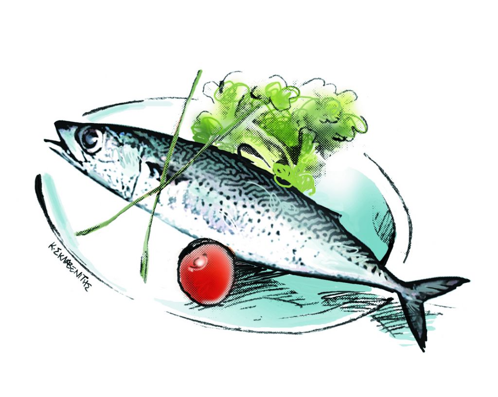 Κάθε ψάρι στον καιρό του και ο κολιός… ποτέ τον Αύγουστο