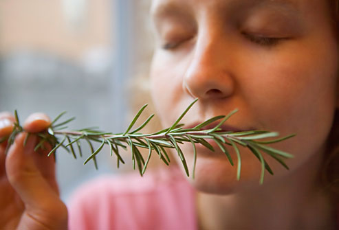 Φλισκούνι και άγρια μέντα ψάχνουν… διαβατήριο