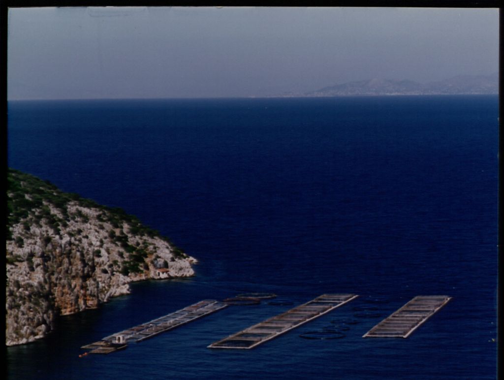Στη Σελόντα τα περιουσιακά στοιχεία της Δίας