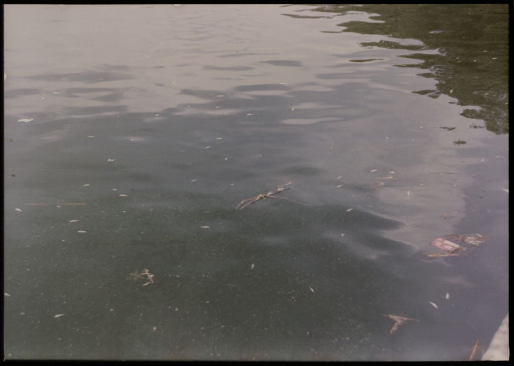 Eπαναχρησιμοποίηση υγρών αστικών αποβλήτων βιολογικού καθαρισμού