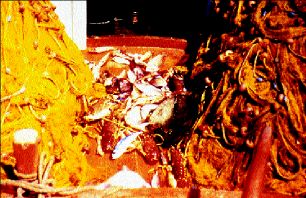 Η κρίση της ελληνικής αλιείας