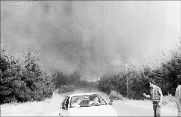 Γιατί καίγονται τα δάση μας