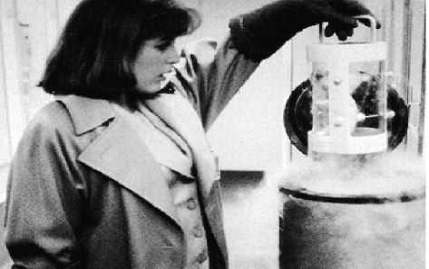 Φαντάσματα στο Χόλιγουντ