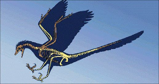 Οι δεινόσαυροι άφησαν απογόνους