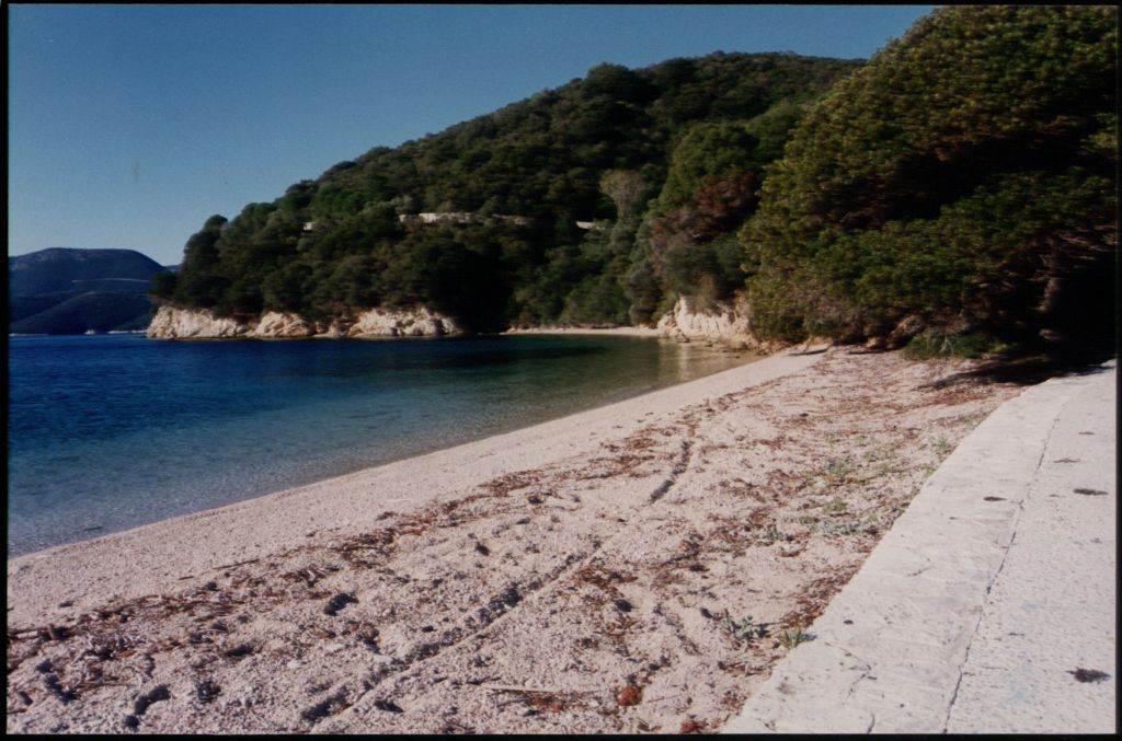 Μπάφετ: Αποκυήματα φαντασίας τα περί αγοράς ελληνικού νησιού