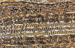 Ανακαλύπτοντας την «πρωτόγονη τέχνη»