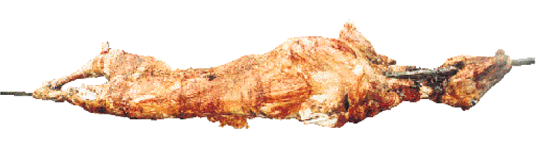 Φιλετάκια σόγιας… στη σούβλα