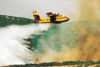 Γιατί καίγονται τα δάση