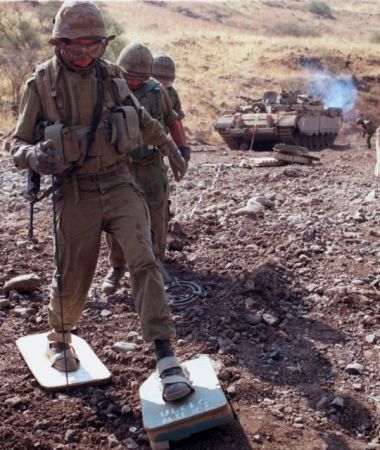 ΜΚΟ: «Πετάγαμε εκατομμύρια για τον… Αμαζόνιο»