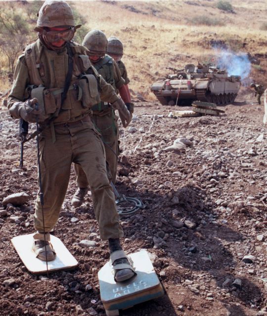 ΜΚΟ: «Πετάγαμε εκατομμύρια για τον… Αμαζόνιο»