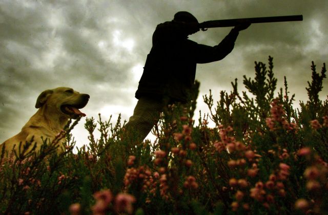 Αποχώρησαν οι κυνηγοί από τον εθνικό διάλογο για το κυνήγι