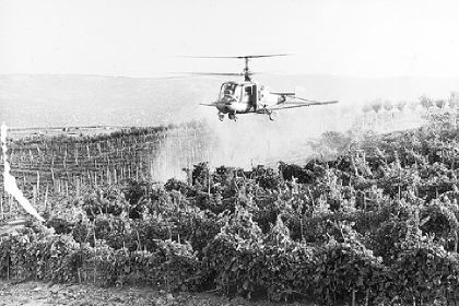 Πόσο μας βλάπτουν τα φυτοφάρμακα