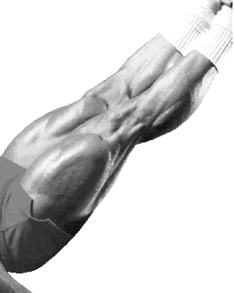 Ο Σβαρτσενέγκερ της γειτονιάς