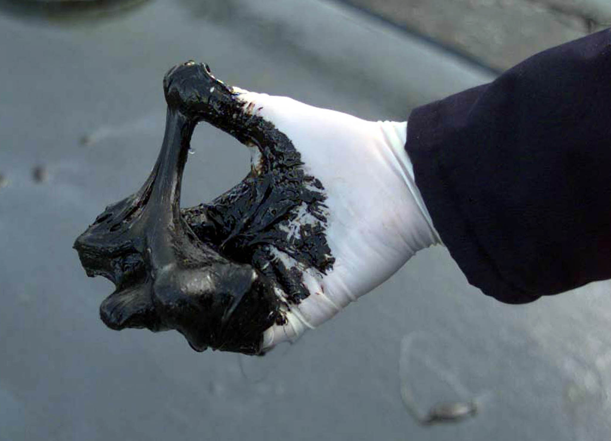 Guardian: Σοβαρές διαρροές πετρελαίου στη Βόρεια Θάλασσα