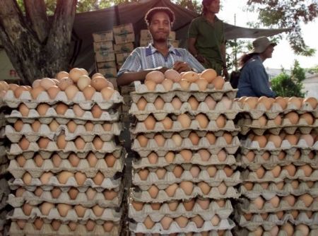 Κατάσχεση χιλιάδων αυγών από τον ΕΦΕΤ
