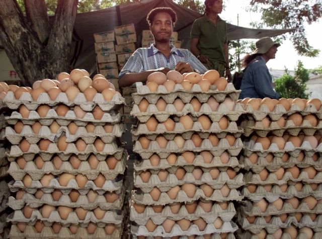 Κατάσχεση χιλιάδων αυγών από τον ΕΦΕΤ
