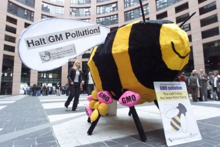 Ανοίγει και πάλι ο φάκελος των «μεταλλαγμένων» στην ΕΕ