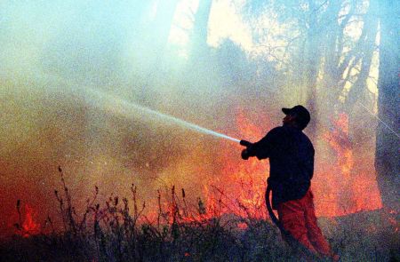 Σαράντα χρόνια σε τέσσερις για τις πυρκαγιές στην Ηλεία το 2007
