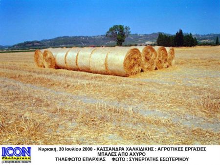 Ηλεκτρική ενέργεια από άχυρο στο θεσσαλικό κάμπο