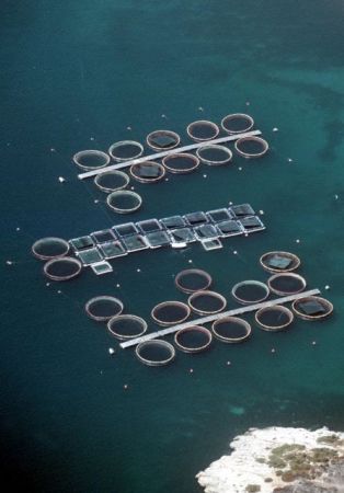 Το σχέδιο για τη διάσωση του Νηρέα και της Σελόντα