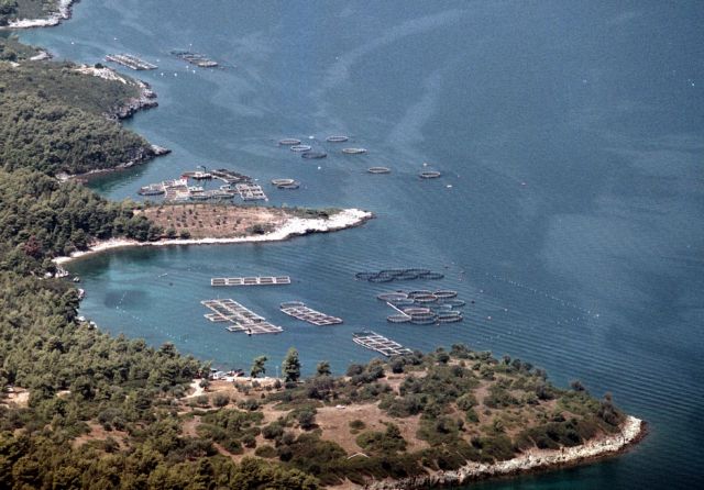 Στην τελική ευθεία η πώληση Νηρέα και Σελόντα