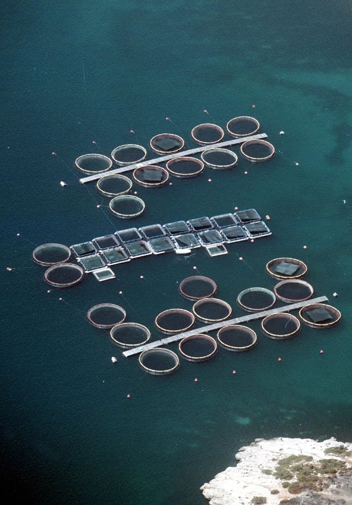 Πάει πάλι πίσω η αναδιάρθρωση της Σελόντα