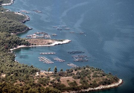 20,85 εκατ. ευρώ για επενδύσεις σε υδατοκαλλιέργεια μεταποίηση