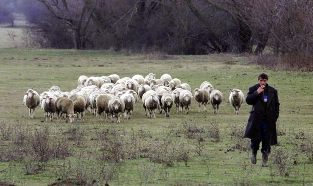 Ελεγχοι με το σταγονόμετρο, από το πιάτο ως τα φάρμακα
